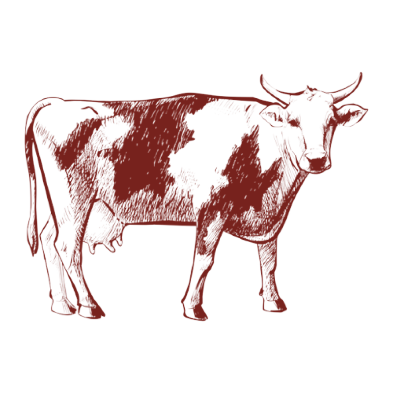 1998_5722506fab2d2cb395790082080dfc56-removebg-preview