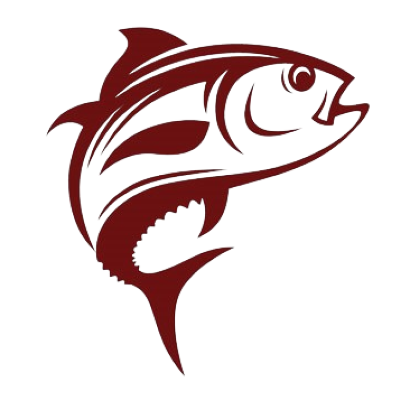 Salmon.Logo_.Vector.Thmb_-removebg-preview