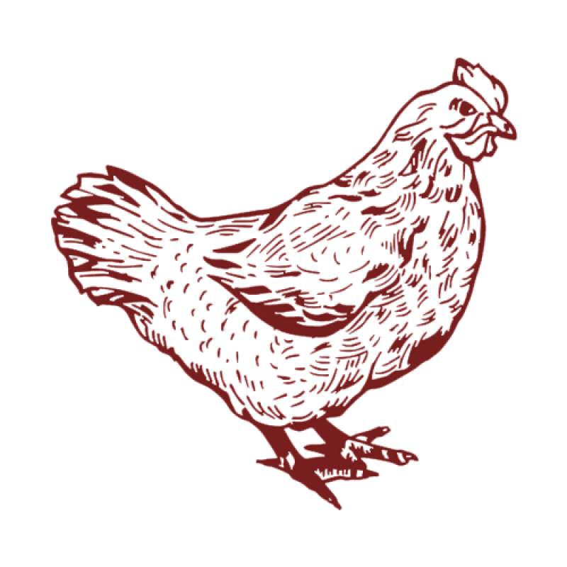 img_1619937244-removebg-preview